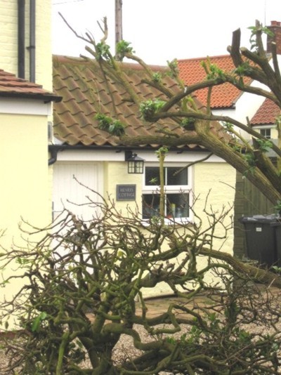 Henrys Cottage, Winterton-on-Sea