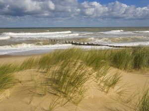 winterton-dunes-5
