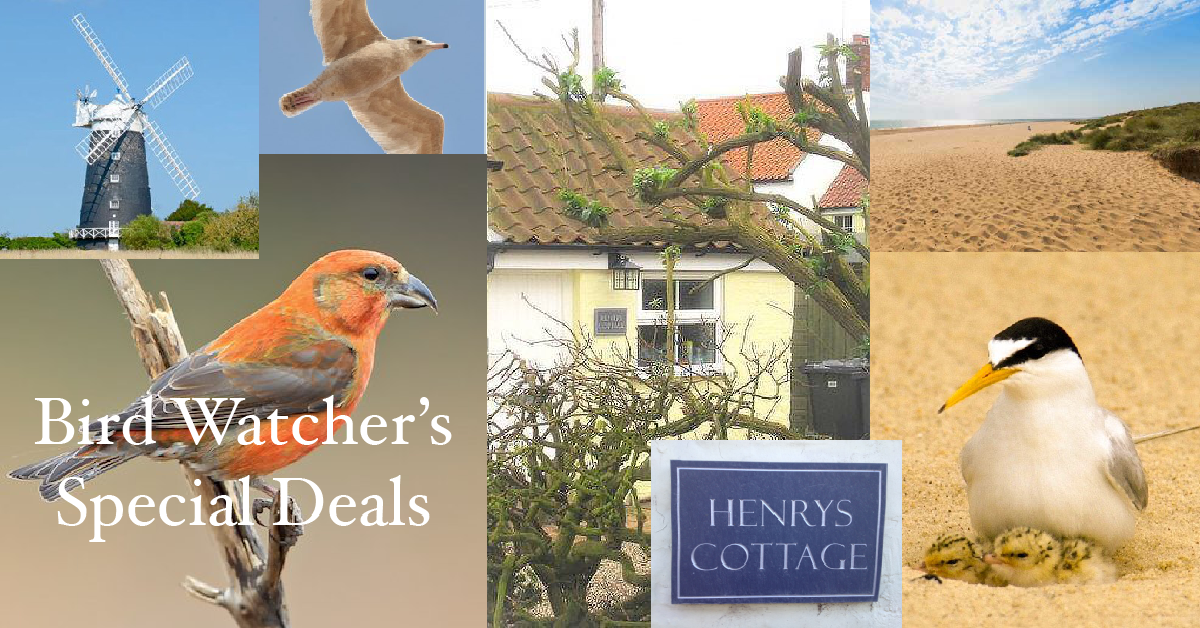 Henrys Cottage Special Deal